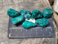 Polished Dioptase Free Forms x 35 From Likasi, Congo