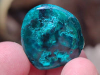 Polished Dioptase Free Forms x 35 From Likasi, Congo