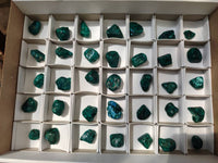 Polished Dioptase Free Forms x 35 From Likasi, Congo