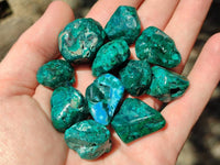 Polished Dioptase Free Forms x 35 From Likasi, Congo
