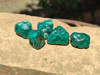 Polished Dioptase Free Forms x 35 From Likasi, Congo