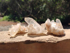 Natural Quartz Crystal Clusters x 12 From Madagascar