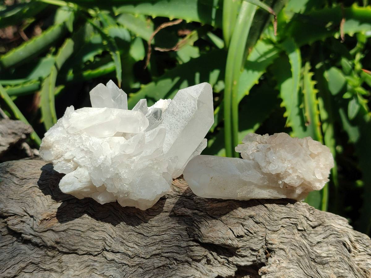 Natural Quartz Crystal Clusters x 12 From Madagascar