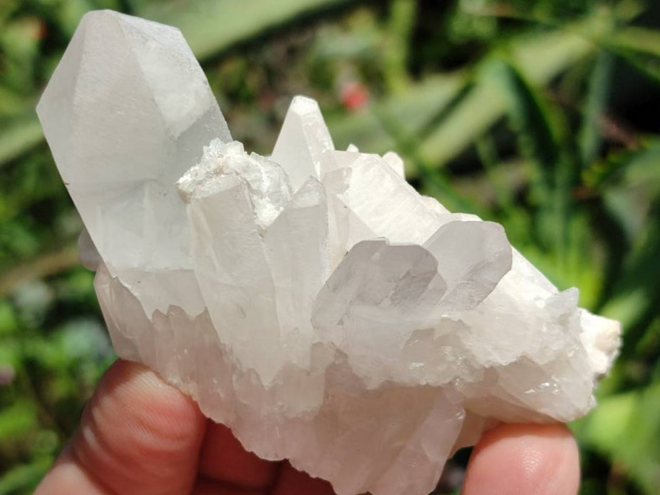 Natural Quartz Crystal Clusters x 12 From Madagascar