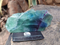 Polished On One Side Watermelon Fluorite Slices x 3 From Uis, Namibia