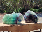 Polished On One Side Watermelon Fluorite Slices x 3 From Uis, Namibia