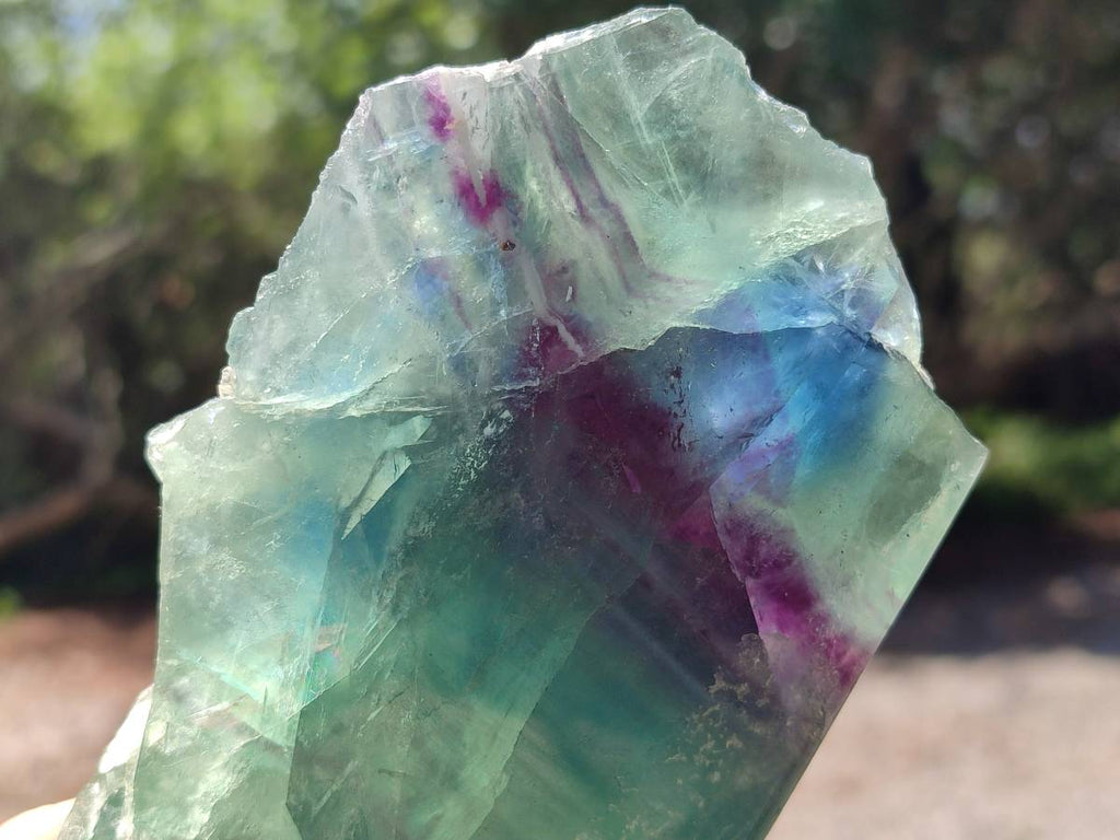 Polished On One Side Watermelon Fluorite Slices x 3 From Uis, Namibia