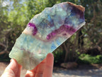 Polished On One Side Watermelon Fluorite Slices x 3 From Uis, Namibia