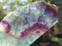 Polished On One Side Watermelon Fluorite Slices x 3 From Uis, Namibia