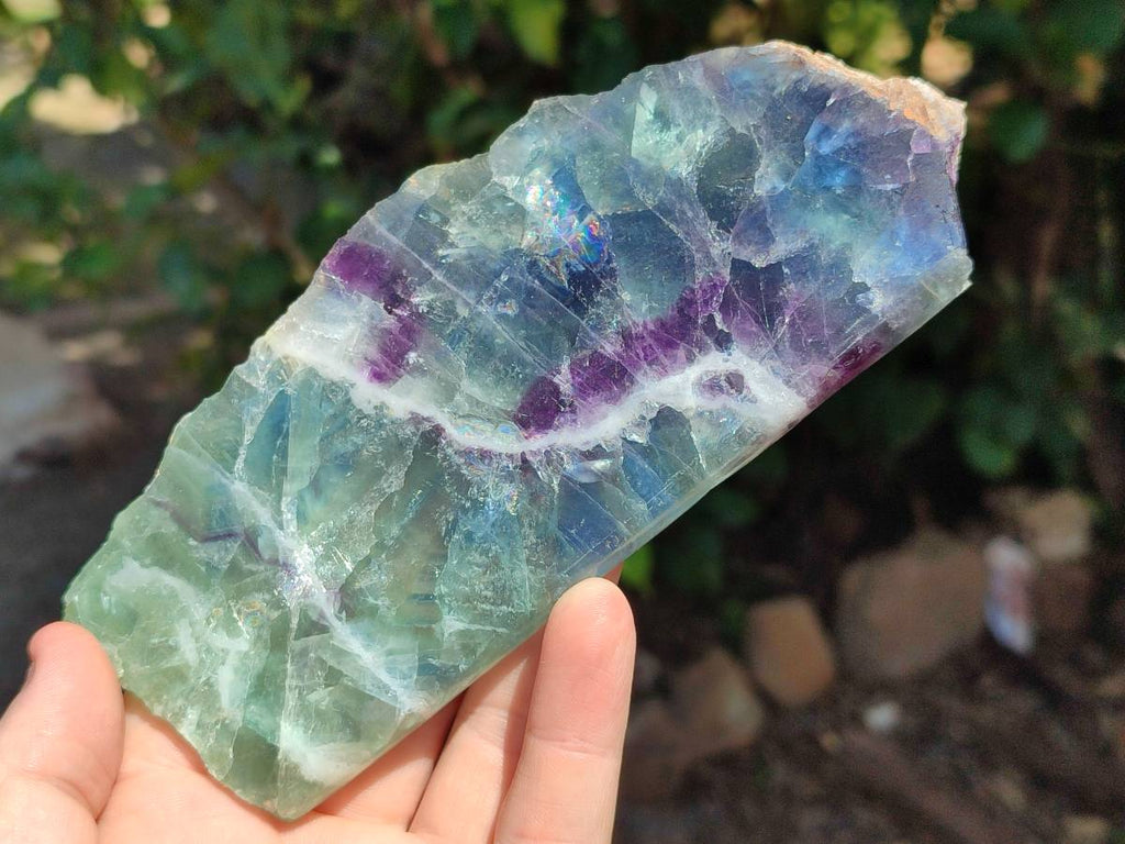 Polished On One Side Watermelon Fluorite Slices x 3 From Uis, Namibia