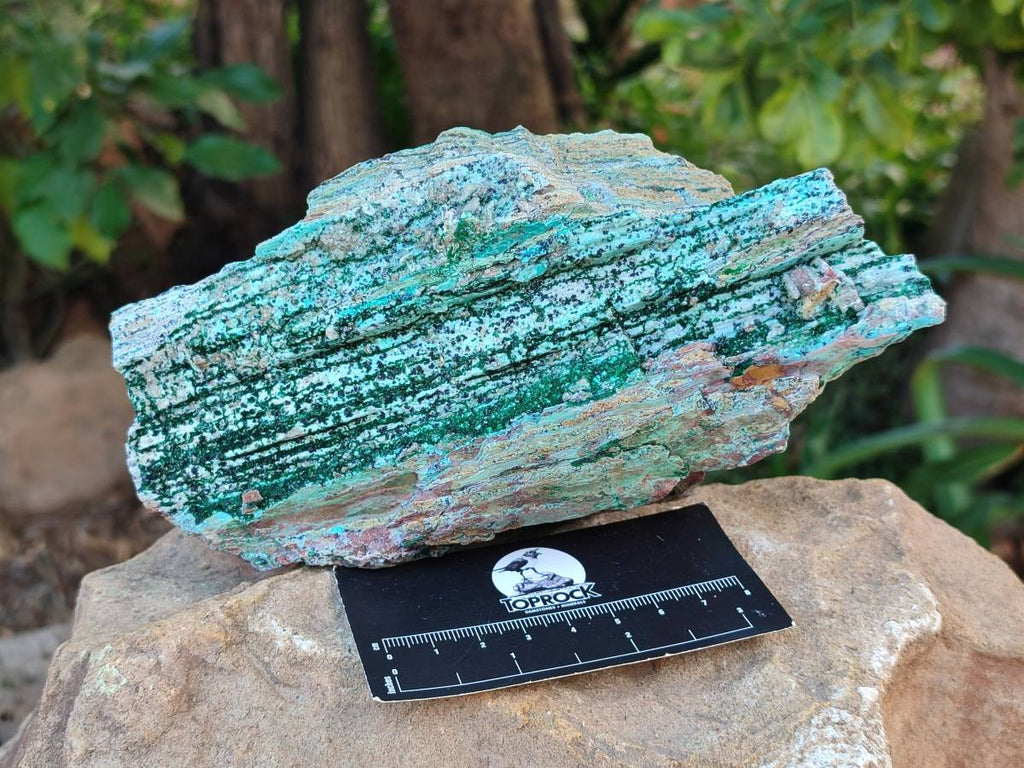 Natural Drusy Coated Chrysocolla with Malachite Crystals x 3 From Likasi, Congo