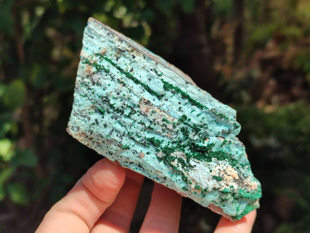 Natural Drusy Coated Chrysocolla with Malachite Crystals x 3 From Likasi, Congo