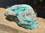 Natural Drusy Coated Chrysocolla with Malachite Crystals x 3 From Likasi, Congo