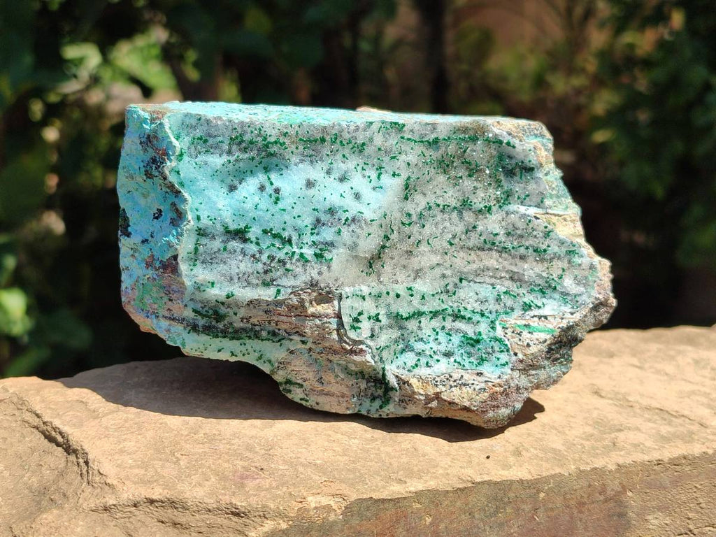 Natural Drusy Coated Chrysocolla with Malachite Crystals x 3 From Likasi, Congo