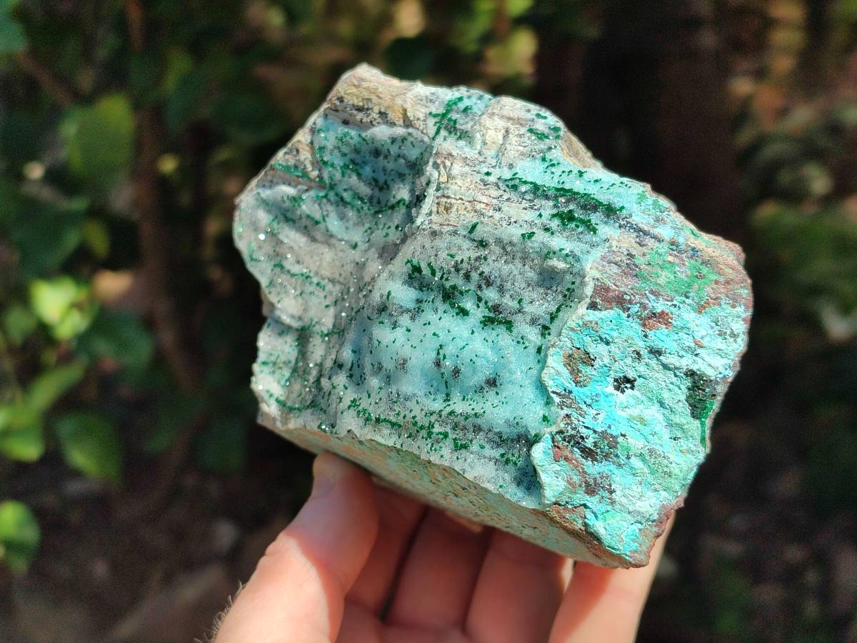 Natural Drusy Coated Chrysocolla with Malachite Crystals x 3 From Likasi, Congo