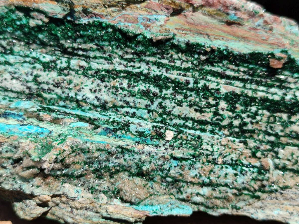 Natural Drusy Coated Chrysocolla with Malachite Crystals x 3 From Likasi, Congo