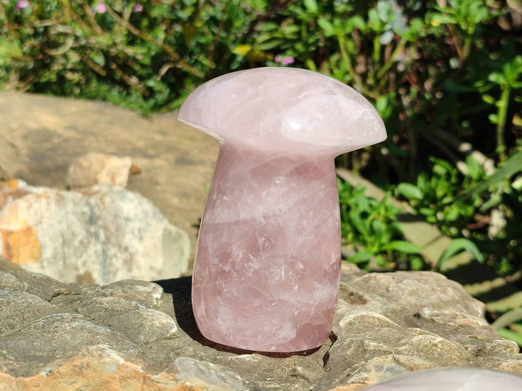 Polished Large Rose Quartz Mushrooms x 3 From Madagascar