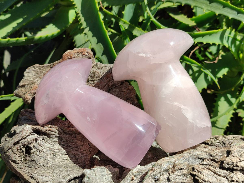 Polished Large Rose Quartz Mushrooms x 3 From Madagascar