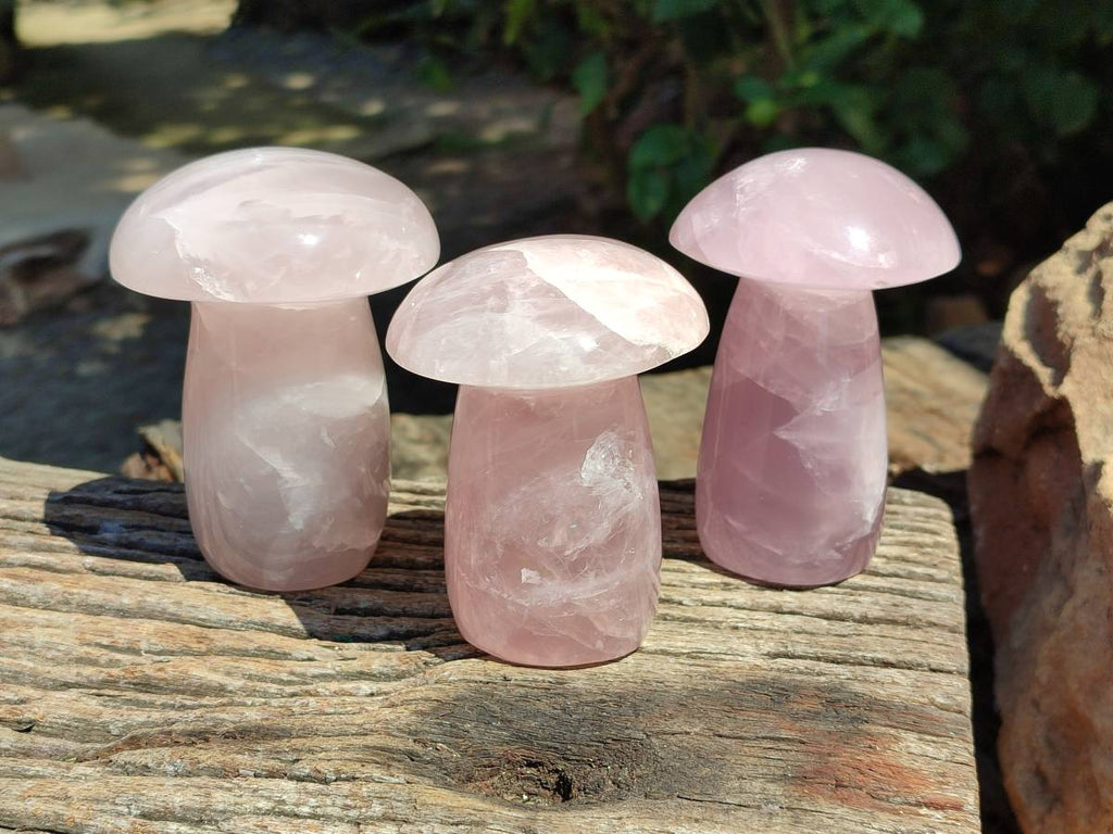 Polished Large Rose Quartz Mushrooms x 3 From Madagascar