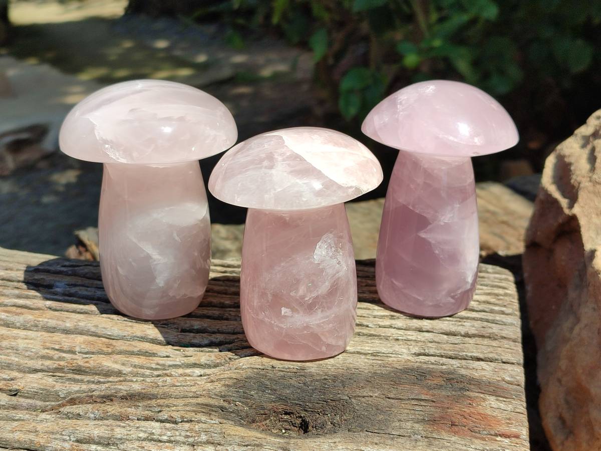 Polished Large Rose Quartz Mushrooms x 3 From Madagascar