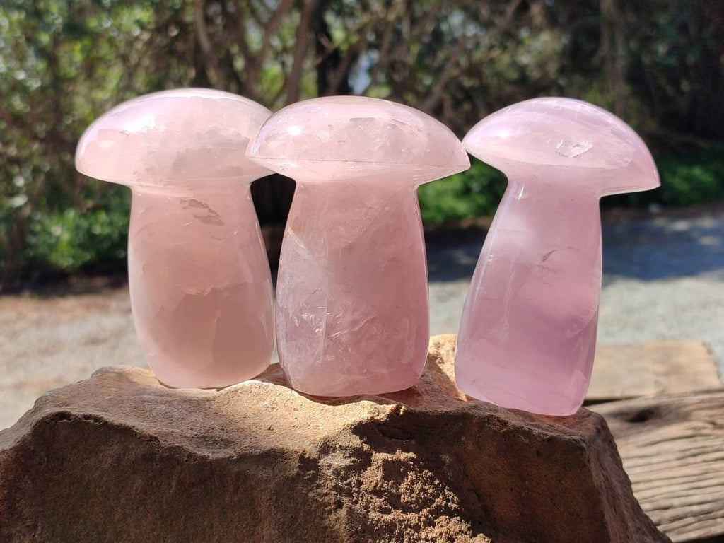 Polished Large Rose Quartz Mushrooms x 3 From Madagascar