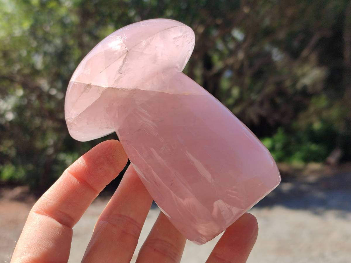 Polished Large Rose Quartz Mushrooms x 3 From Madagascar