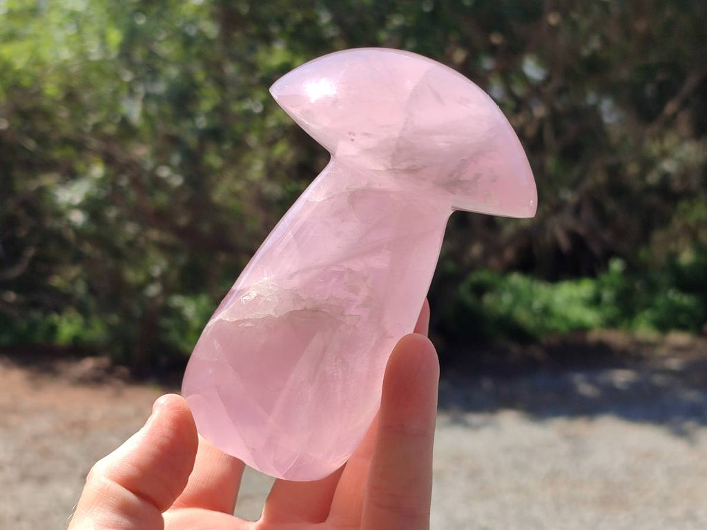 Polished Large Rose Quartz Mushrooms x 3 From Madagascar