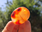 Polished Carnelian Agate Gemstone Galets x 35 From Madagascar
