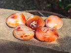 Polished Carnelian Agate Gemstone Galets x 35 From Madagascar