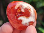 Polished Carnelian Agate Gemstone Galets x 35 From Madagascar