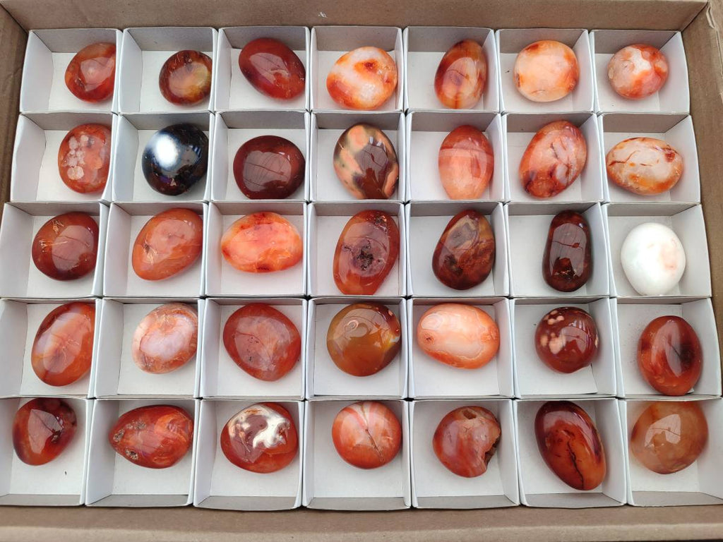 Polished Carnelian Agate Gemstone Galets x 35 From Madagascar