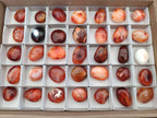 Polished Carnelian Agate Gemstone Galets x 35 From Madagascar