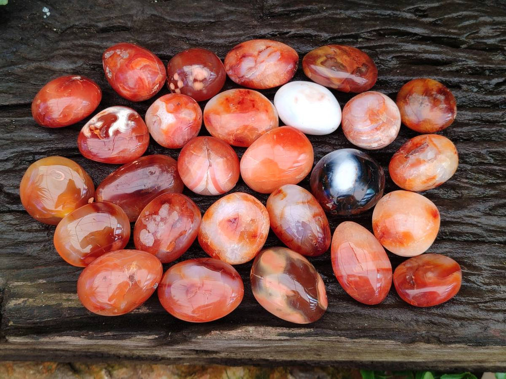 Polished Carnelian Agate Gemstone Galets x 35 From Madagascar