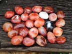 Polished Carnelian Agate Gemstone Galets x 35 From Madagascar