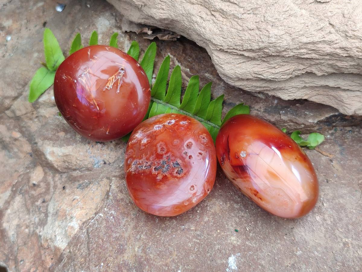 Polished Carnelian Agate Gemstone Galets x 35 From Madagascar