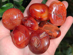 Polished Carnelian Agate Gemstone Galets x 35 From Madagascar