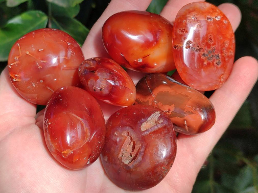 Polished Carnelian Agate Gemstone Galets x 35 From Madagascar