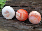Polished Carnelian Agate Gemstone Galets x 35 From Madagascar
