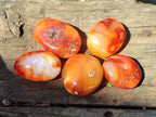 Polished Carnelian Agate Gemstone Galets x 35 From Madagascar