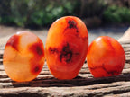 Polished Carnelian Agate Gemstone Galets x 35 From Madagascar
