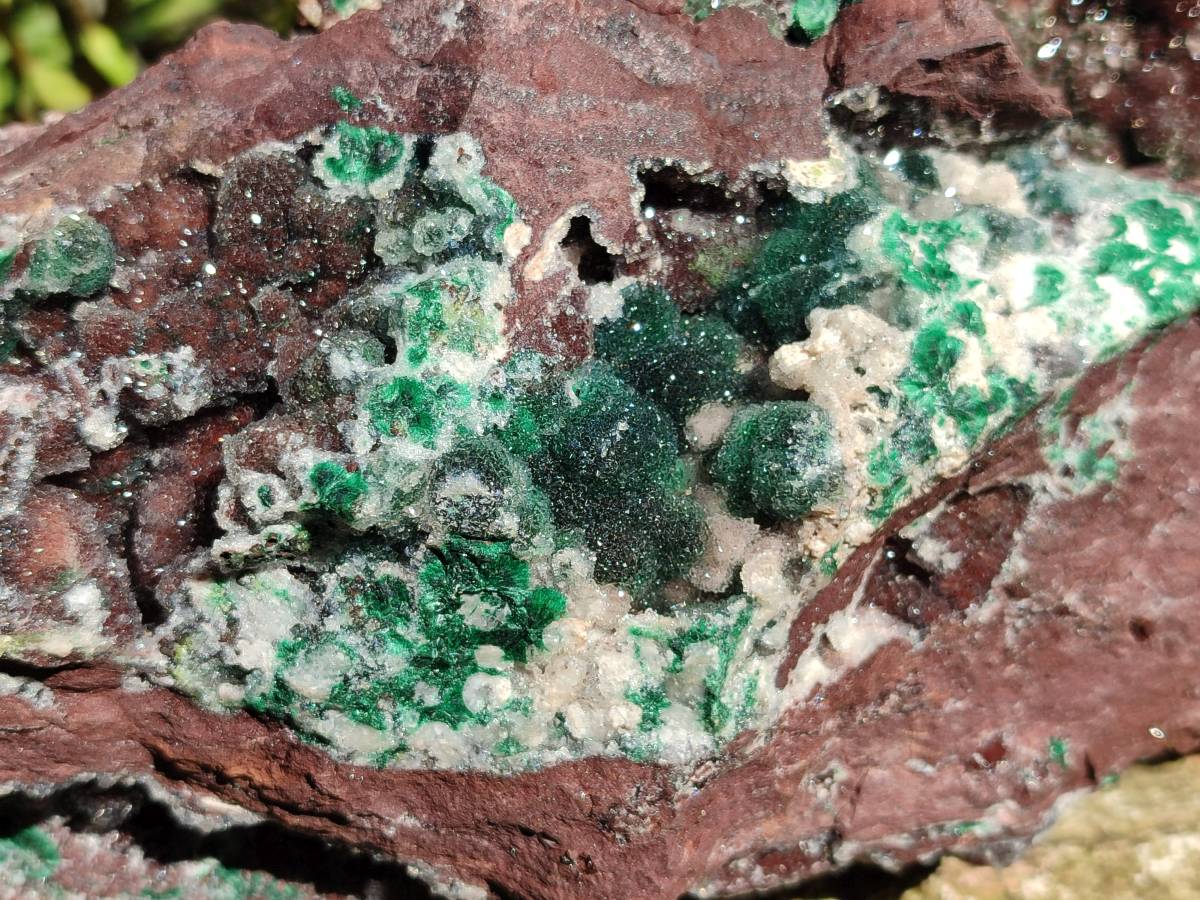 Natural XL Drusy Ball Malachite On Dolomite Matrix Specimen x 1 From Mindingi Mine, Kambove, Congo