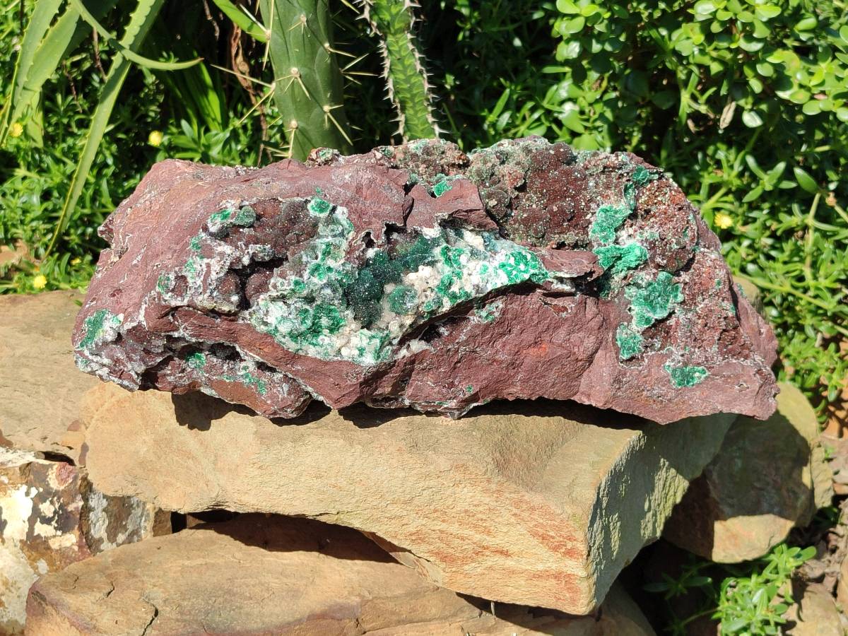 Natural XL Drusy Ball Malachite On Dolomite Matrix Specimen x 1 From Mindingi Mine, Kambove, Congo