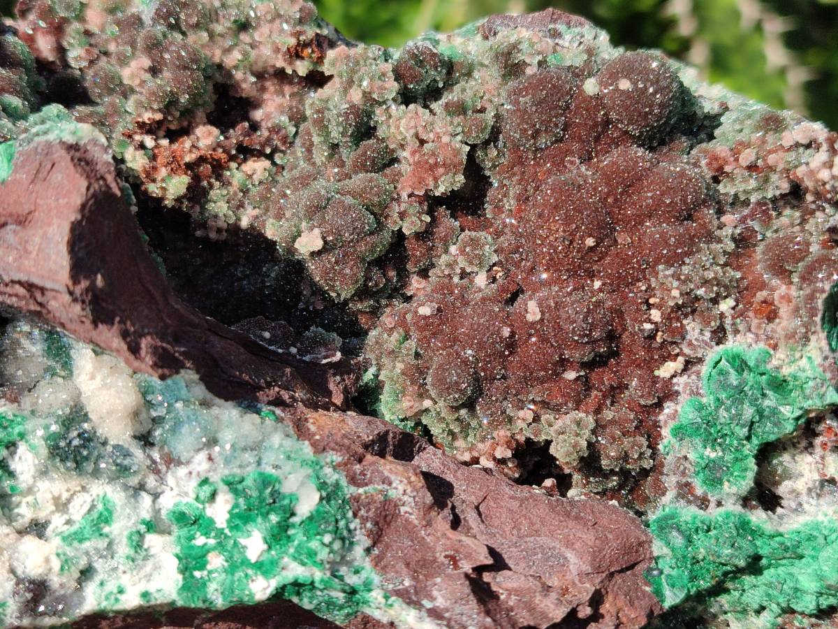 Natural XL Drusy Ball Malachite On Dolomite Matrix Specimen x 1 From Mindingi Mine, Kambove, Congo