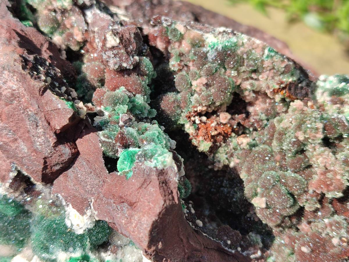 Natural XL Drusy Ball Malachite On Dolomite Matrix Specimen x 1 From Mindingi Mine, Kambove, Congo