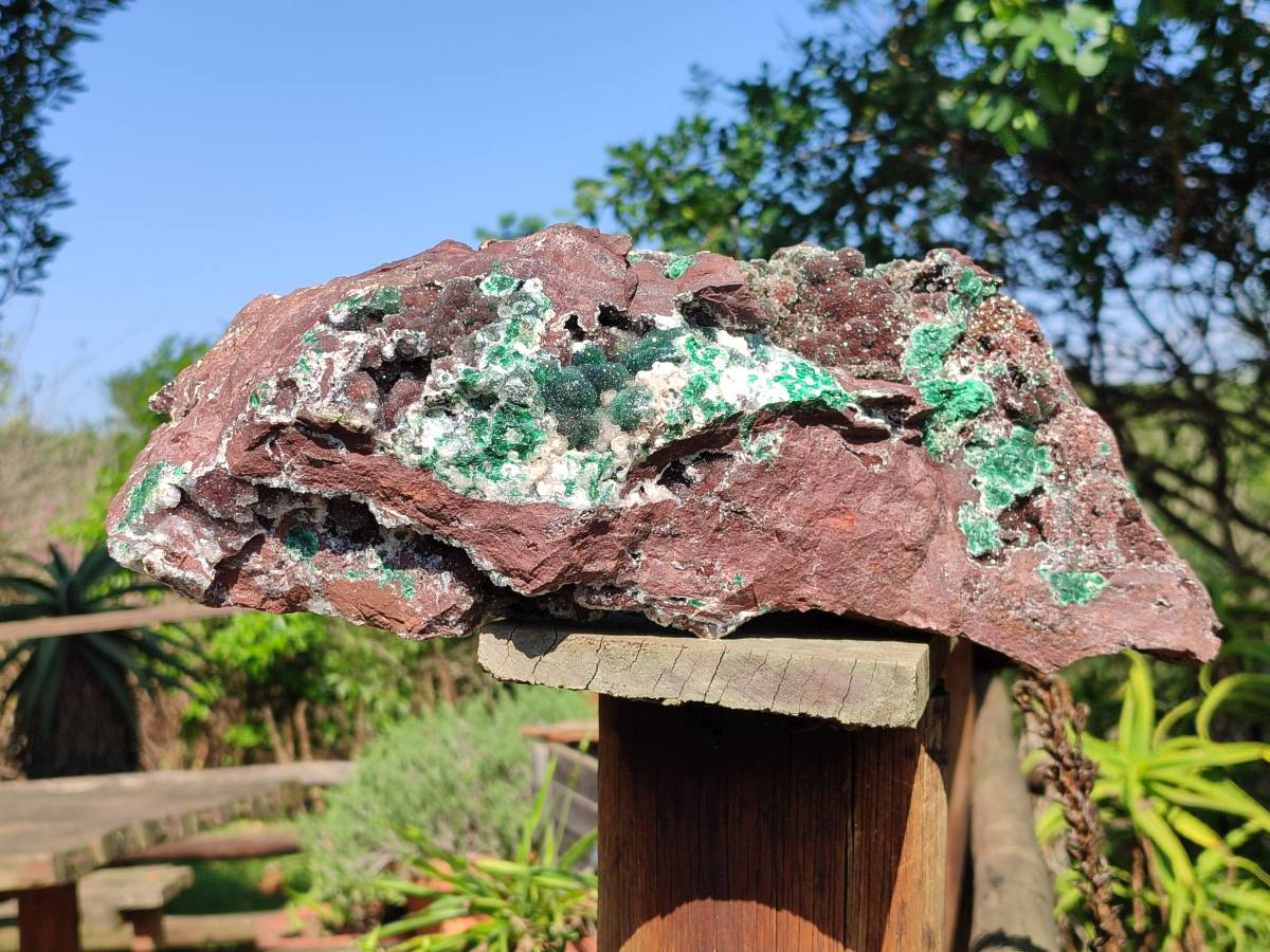 Natural XL Drusy Ball Malachite On Dolomite Matrix Specimen x 1 From Mindingi Mine, Kambove, Congo