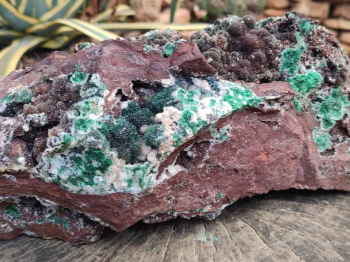 Natural XL Drusy Ball Malachite On Dolomite Matrix Specimen x 1 From Mindingi Mine, Kambove, Congo