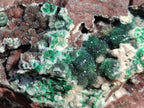 Natural XL Drusy Ball Malachite On Dolomite Matrix Specimen x 1 From Mindingi Mine, Kambove, Congo