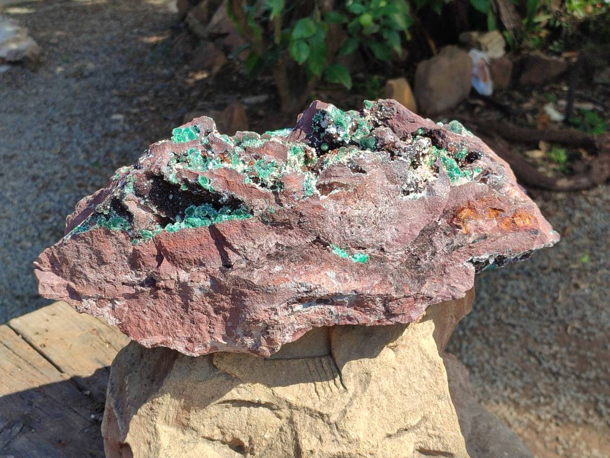 Natural XL Drusy Ball Malachite On Dolomite Matrix Specimen x 1 From Mindingi Mine, Kambove, Congo