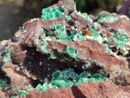 Natural XL Drusy Ball Malachite On Dolomite Matrix Specimen x 1 From Mindingi Mine, Kambove, Congo