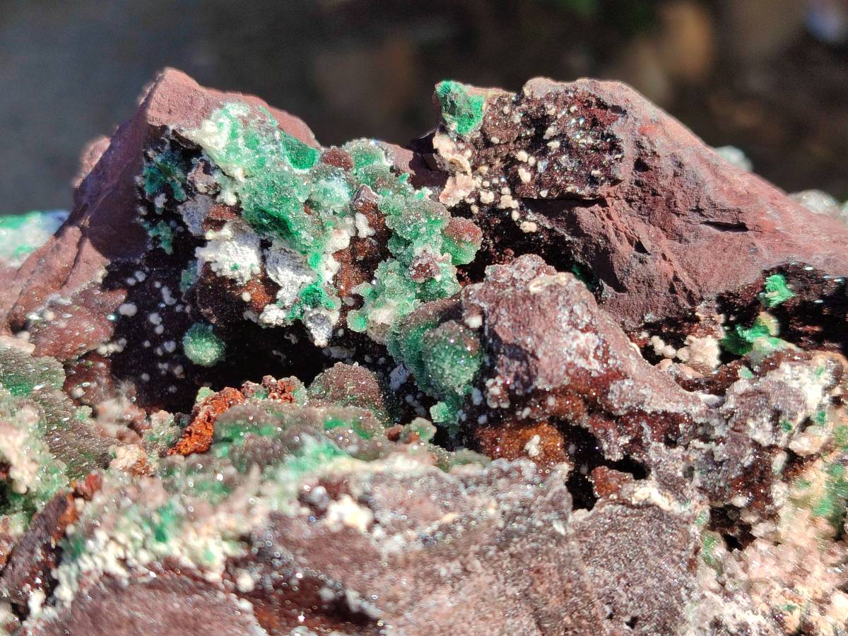 Natural XL Drusy Ball Malachite On Dolomite Matrix Specimen x 1 From Mindingi Mine, Kambove, Congo